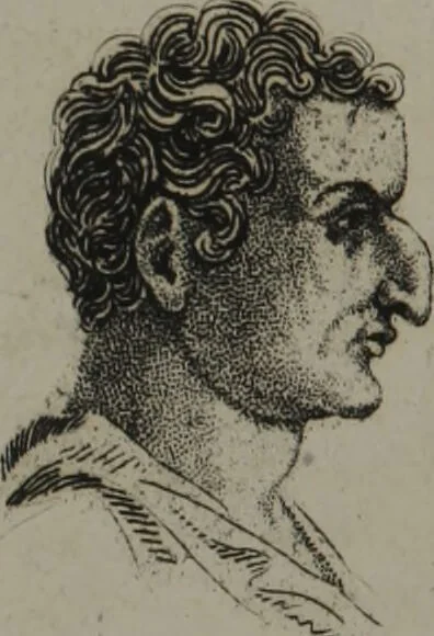 An illustration from The pocket Lavater, or, The science of physiognomy : to which is added, An inquiry into the analogy existing between brute and human physiognomy, from the Italian of Porta., 1832, leaf 160