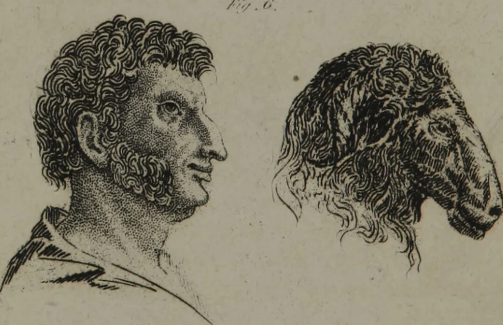 An illustration from The pocket Lavater, or, The science of physiognomy : to which is added, An inquiry into the analogy existing between brute and human physiognomy, from the Italian of Porta., 1832, leaf 160