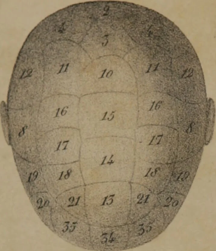 An illustration from Lecciones de frenología : esplicadas en el liceo artístico y literario de la Habana / por Sabino de Losada., 1849, leaf 10