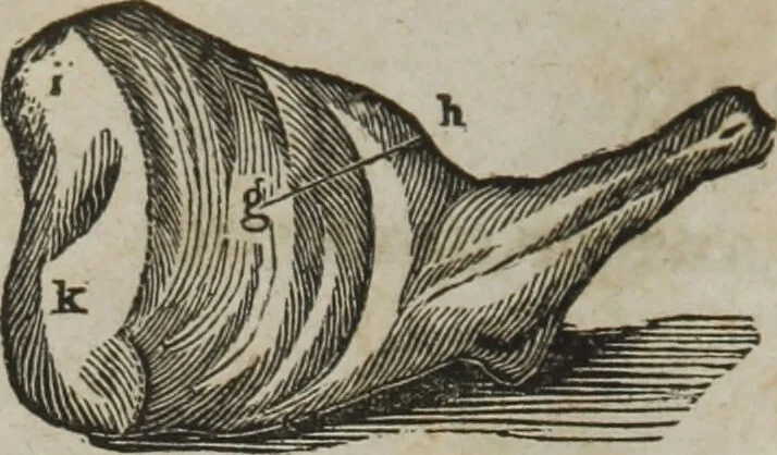 An illustration from MacKenzie's five thousand receipts in all the useful and domestic arts : constituting a complete practical library ... : a new American, from the latest London edition : with numerous and important additions generally : and the medical part carefully revised and adapted to the climate of the U. States : and also a new and most copious index / by an American physician., 1829, leaf 424