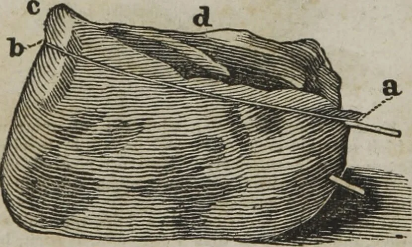 An illustration from MacKenzie's five thousand receipts in all the useful and domestic arts : constituting a complete practical library ... : a new American, from the latest London edition : with numerous and important additions generally : and the medical part carefully revised and adapted to the climate of the U. States : and also a new and most copious index / by an American physician., 1829, leaf 424