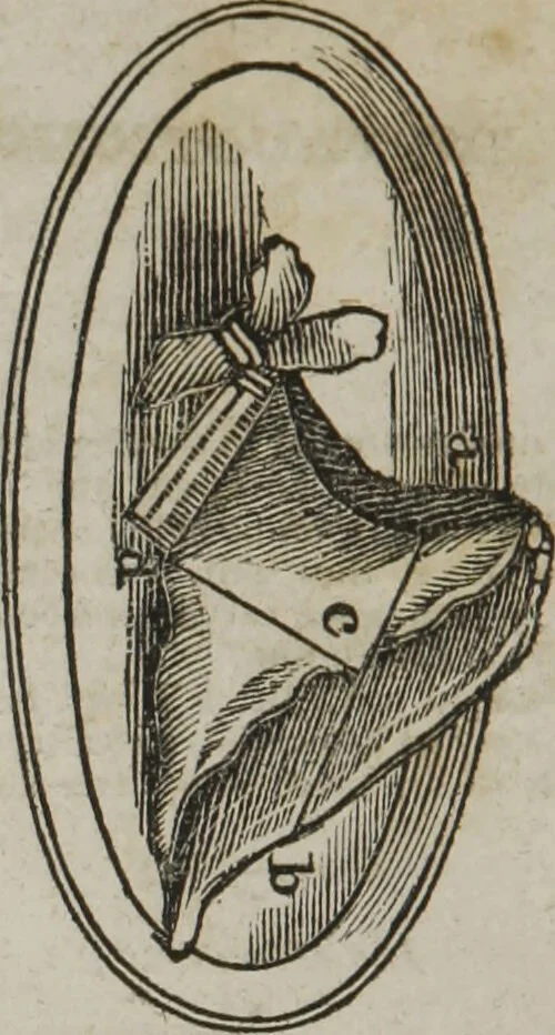 An illustration from MacKenzie's five thousand receipts in all the useful and domestic arts : constituting a complete practical library ... : a new American, from the latest London edition : with numerous and important additions generally : and the medical part carefully revised and adapted to the climate of the U. States : and also a new and most copious index / by an American physician., 1829, leaf 424