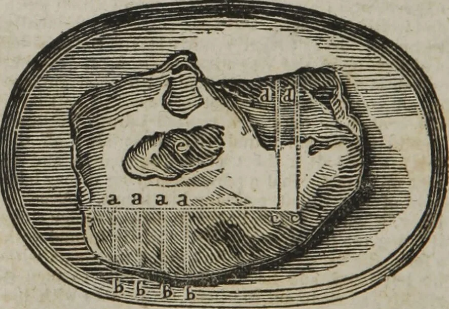 An illustration from MacKenzie's five thousand receipts in all the useful and domestic arts : constituting a complete practical library ... : a new American, from the latest London edition : with numerous and important additions generally : and the medical part carefully revised and adapted to the climate of the U. States : and also a new and most copious index / by an American physician., 1829, leaf 424