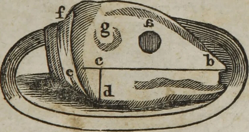 An illustration from MacKenzie's five thousand receipts in all the useful and domestic arts : constituting a complete practical library ... : a new American, from the latest London edition : with numerous and important additions generally : and the medical part carefully revised and adapted to the climate of the U. States : and also a new and most copious index / by an American physician., 1829, leaf 425