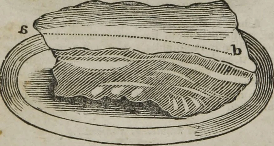 An illustration from MacKenzie's five thousand receipts in all the useful and domestic arts : constituting a complete practical library ... : a new American, from the latest London edition : with numerous and important additions generally : and the medical part carefully revised and adapted to the climate of the U. States : and also a new and most copious index / by an American physician., 1829, leaf 426