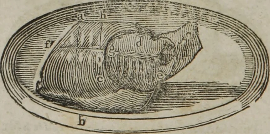 An illustration from MacKenzie's five thousand receipts in all the useful and domestic arts : constituting a complete practical library ... : a new American, from the latest London edition : with numerous and important additions generally : and the medical part carefully revised and adapted to the climate of the U. States : and also a new and most copious index / by an American physician., 1829, leaf 426
