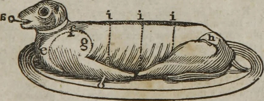 An illustration from MacKenzie's five thousand receipts in all the useful and domestic arts : constituting a complete practical library ... : a new American, from the latest London edition : with numerous and important additions generally : and the medical part carefully revised and adapted to the climate of the U. States : and also a new and most copious index / by an American physician., 1829, leaf 427