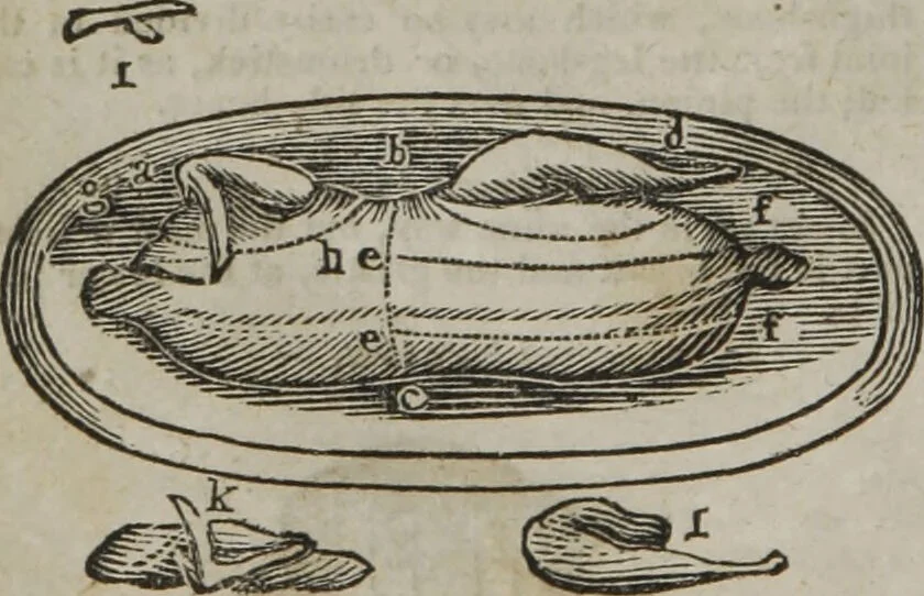 An illustration from MacKenzie's five thousand receipts in all the useful and domestic arts : constituting a complete practical library ... : a new American, from the latest London edition : with numerous and important additions generally : and the medical part carefully revised and adapted to the climate of the U. States : and also a new and most copious index / by an American physician., 1829, leaf 428