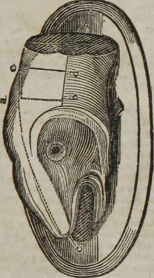 An illustration from MacKenzie's five thousand receipts in all the useful and domestic arts : constituting a complete practical library ... : a new American, from the latest London edition : with numerous and important additions generally : and the medical part carefully revised and adapted to the climate of the U. States : and also a new and most copious index / by an American physician., 1829, leaf 429