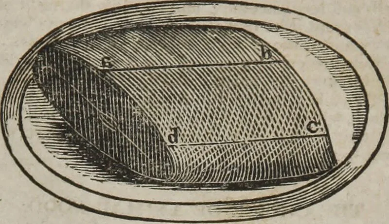An illustration from MacKenzie's five thousand receipts in all the useful and domestic arts : constituting a complete practical library ... : a new American, from the latest London edition : with numerous and important additions generally : and the medical part carefully revised and adapted to the climate of the U. States : and also a new and most copious index / by an American physician., 1829, leaf 429