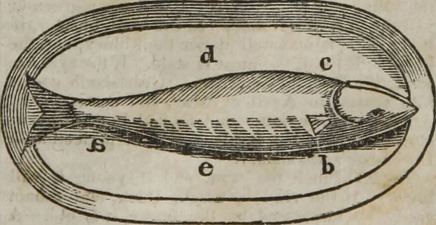 An illustration from MacKenzie's five thousand receipts in all the useful and domestic arts : constituting a complete practical library ... : a new American, from the latest London edition : with numerous and important additions generally : and the medical part carefully revised and adapted to the climate of the U. States : and also a new and most copious index / by an American physician., 1829, leaf 429