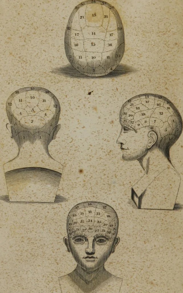 An illustration from A catechism of phrenology : illustrative of the principles of that science / by a Member of the Phrenological Society of Edinburgh., 1835, leaf 4