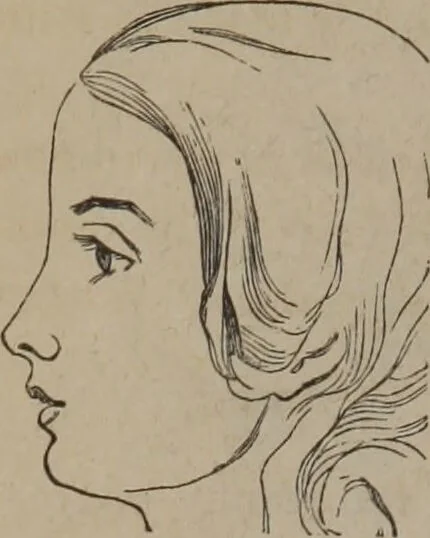 An illustration from Outlines of a new system of physiognomy : illustrated by numerous engravings indicating the location of the signs of the different mental faculties / by J.W. Redfield., 1849, leaf 12