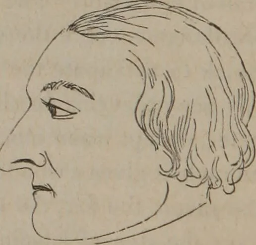 An illustration from Outlines of a new system of physiognomy : illustrated by numerous engravings indicating the location of the signs of the different mental faculties / by J.W. Redfield., 1849, leaf 14