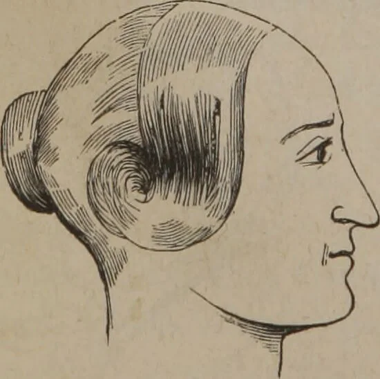 An illustration from Outlines of a new system of physiognomy : illustrated by numerous engravings indicating the location of the signs of the different mental faculties / by J.W. Redfield., 1849, leaf 16