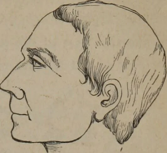 An illustration from Outlines of a new system of physiognomy : illustrated by numerous engravings indicating the location of the signs of the different mental faculties / by J.W. Redfield., 1849, leaf 17