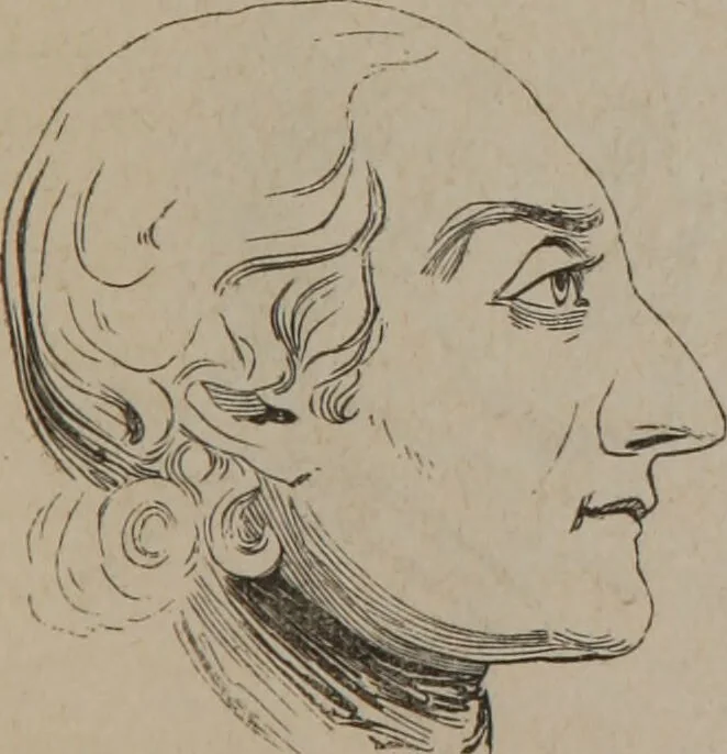 An illustration from Outlines of a new system of physiognomy : illustrated by numerous engravings indicating the location of the signs of the different mental faculties / by J.W. Redfield., 1849, leaf 19