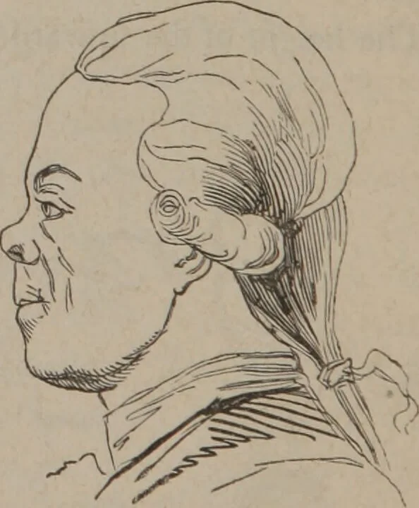 An illustration from Outlines of a new system of physiognomy : illustrated by numerous engravings indicating the location of the signs of the different mental faculties / by J.W. Redfield., 1849, leaf 20