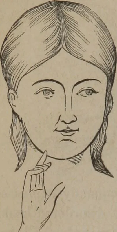 An illustration from Outlines of a new system of physiognomy : illustrated by numerous engravings indicating the location of the signs of the different mental faculties / by J.W. Redfield., 1849, leaf 26
