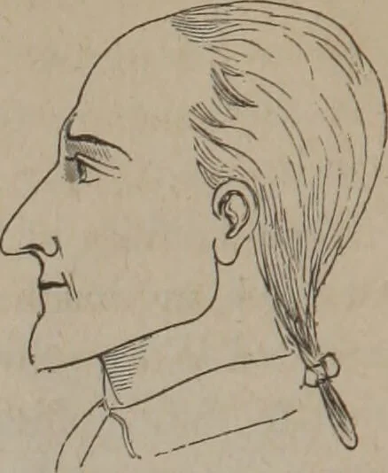 An illustration from Outlines of a new system of physiognomy : illustrated by numerous engravings indicating the location of the signs of the different mental faculties / by J.W. Redfield., 1849, leaf 30