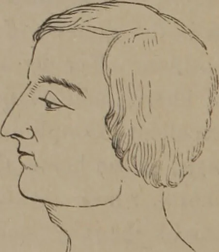 An illustration from Outlines of a new system of physiognomy : illustrated by numerous engravings indicating the location of the signs of the different mental faculties / by J.W. Redfield., 1849, leaf 34