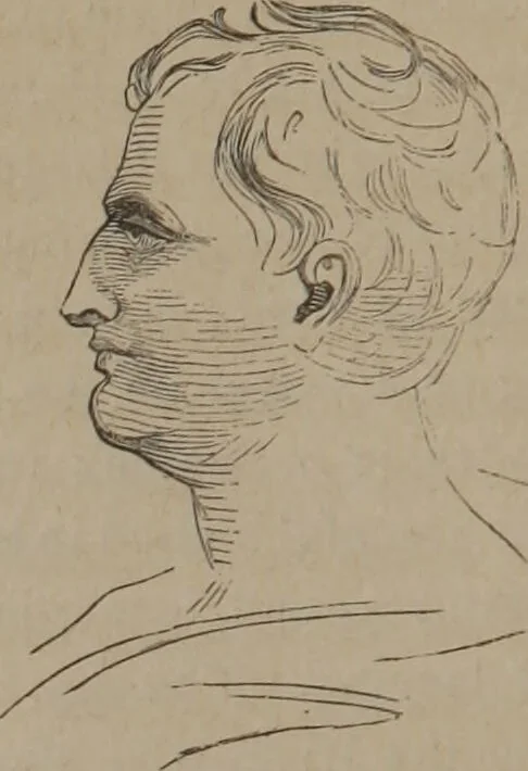 An illustration from Outlines of a new system of physiognomy : illustrated by numerous engravings indicating the location of the signs of the different mental faculties / by J.W. Redfield., 1849, leaf 40