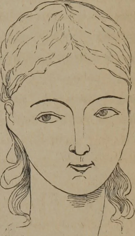 An illustration from Outlines of a new system of physiognomy : illustrated by numerous engravings indicating the location of the signs of the different mental faculties / by J.W. Redfield., 1849, leaf 47