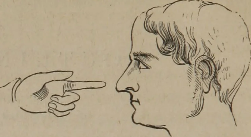 An illustration from Outlines of a new system of physiognomy : illustrated by numerous engravings indicating the location of the signs of the different mental faculties / by J.W. Redfield., 1849, leaf 8