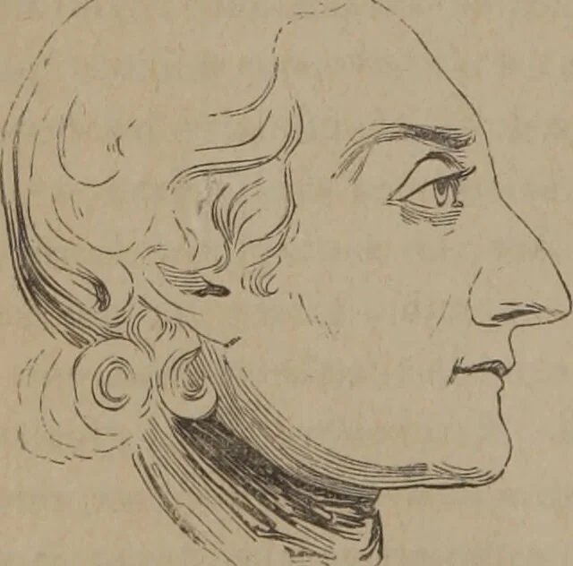 An illustration from Outlines of a new system of physiognomy : illustrated by numerous engravings indicating the location of the signs of the different mental faculties / by J.W. Redfield., 1849, leaf 92