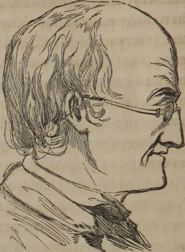 An illustration from The twelve qualities of mind, or, Outlines of a new system of physiognomy, no. II / by J.W. Redfield., 1850, leaf 10