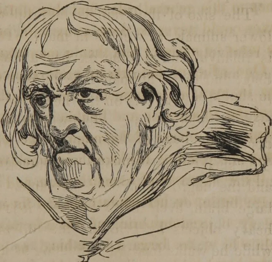 An illustration from The twelve qualities of mind, or, Outlines of a new system of physiognomy, no. II / by J.W. Redfield., 1850, leaf 11