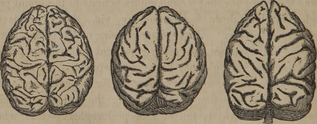 An illustration from The twelve qualities of mind, or, Outlines of a new system of physiognomy, no. II / by J.W. Redfield., 1850, leaf 20
