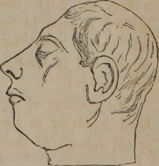 An illustration from The twelve qualities of mind, or, Outlines of a new system of physiognomy, no. II / by J.W. Redfield., 1850, leaf 26