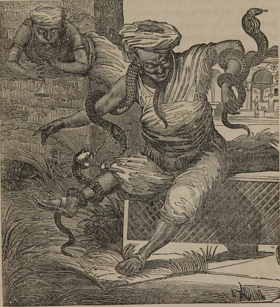 An illustration from The twelve qualities of mind, or, Outlines of a new system of physiognomy, no. II / by J.W. Redfield., 1850, leaf 41