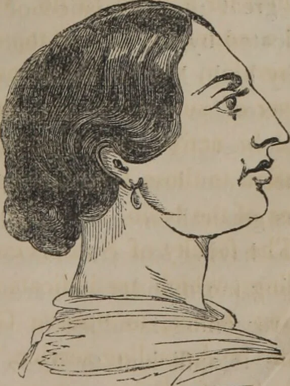 An illustration from The twelve qualities of mind, or, Outlines of a new system of physiognomy, no. II / by J.W. Redfield., 1850, leaf 9
