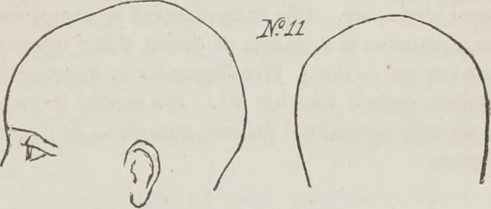 An illustration from Rationale of crime, and its appropriate treatment : being a treatise on criminal jurisprudence considered in relation to cerebral organization / by M.B. Sampson ; with notes and illustrations by E.W. Farnham., 1846, leaf 181