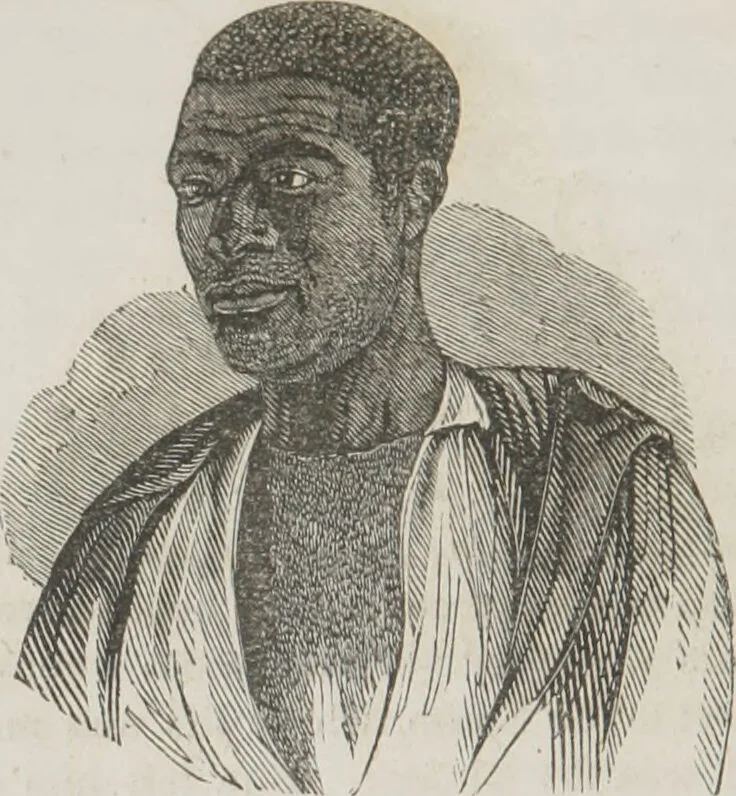 An illustration from Rationale of crime, and its appropriate treatment : being a treatise on criminal jurisprudence considered in relation to cerebral organization / by M.B. Sampson ; with notes and illustrations by E.W. Farnham., 1846, leaf 184