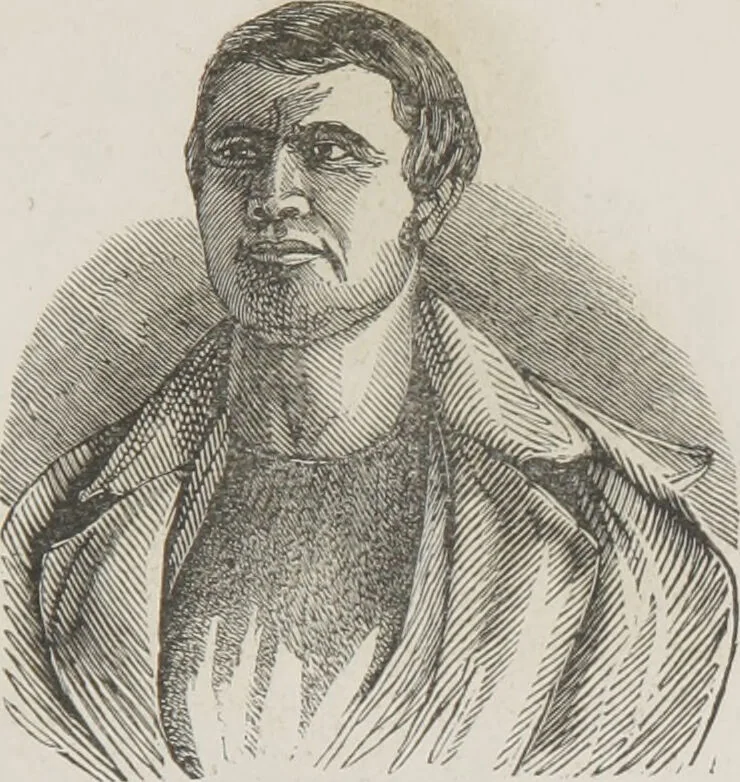 An illustration from Rationale of crime, and its appropriate treatment : being a treatise on criminal jurisprudence considered in relation to cerebral organization / by M.B. Sampson ; with notes and illustrations by E.W. Farnham., 1846, leaf 185