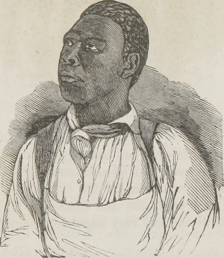 An illustration from Rationale of crime, and its appropriate treatment : being a treatise on criminal jurisprudence considered in relation to cerebral organization / by M.B. Sampson ; with notes and illustrations by E.W. Farnham., 1846, leaf 189