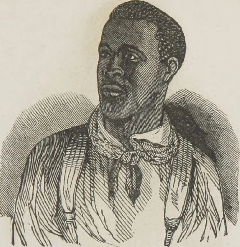 An illustration from Rationale of crime, and its appropriate treatment : being a treatise on criminal jurisprudence considered in relation to cerebral organization / by M.B. Sampson ; with notes and illustrations by E.W. Farnham., 1846, leaf 191