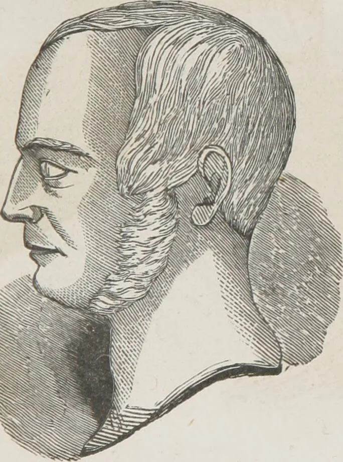 An illustration from Rationale of crime, and its appropriate treatment : being a treatise on criminal jurisprudence considered in relation to cerebral organization / by M.B. Sampson ; with notes and illustrations by E.W. Farnham., 1846, leaf 203