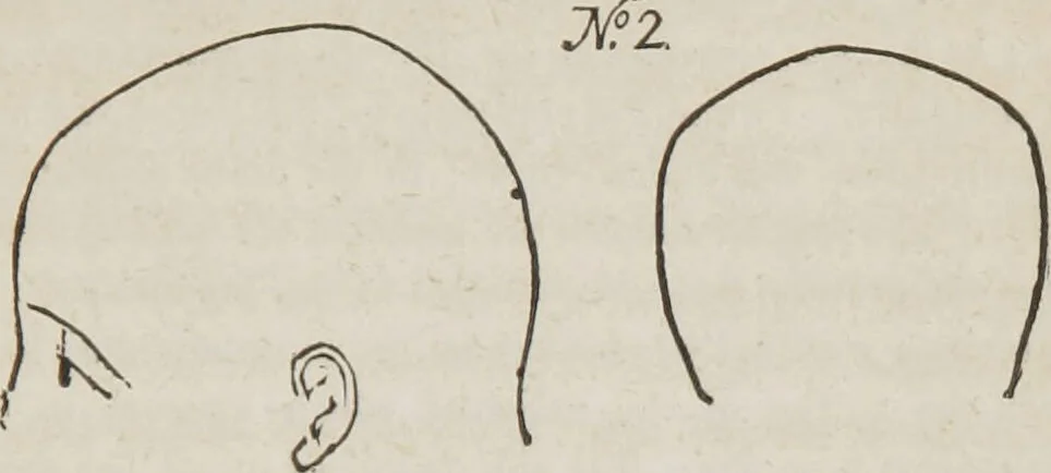 An illustration from Rationale of crime, and its appropriate treatment : being a treatise on criminal jurisprudence considered in relation to cerebral organization / by M.B. Sampson ; with notes and illustrations by E.W. Farnham., 1846, leaf 37