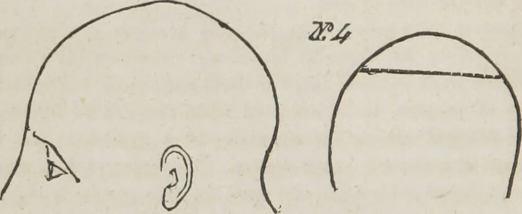 An illustration from Rationale of crime, and its appropriate treatment : being a treatise on criminal jurisprudence considered in relation to cerebral organization / by M.B. Sampson ; with notes and illustrations by E.W. Farnham., 1846, leaf 38