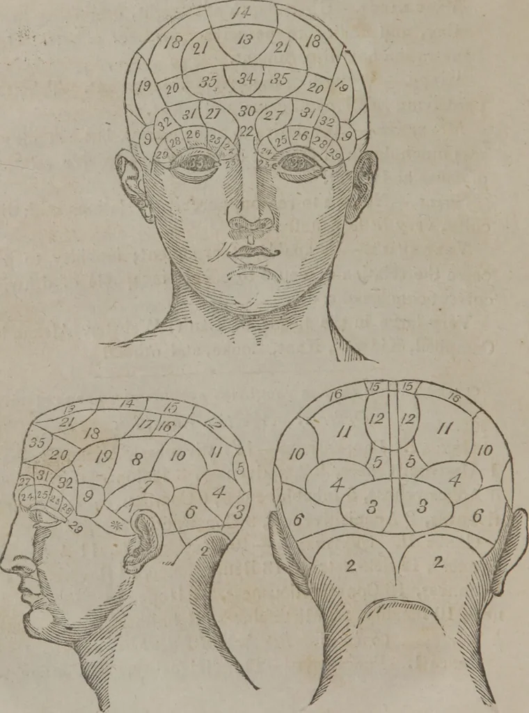 An illustration from A synopsis of practical phrenology. Compiled for the use of pupils., 1839, leaf 48