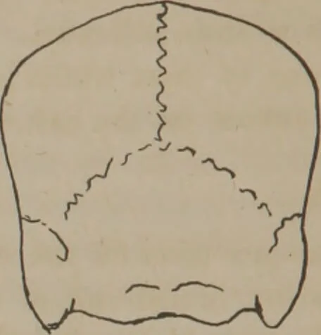 An illustration from Synopsis of phrenology : directed chiefly to the exhibition of the utility and application of the science to the advancement of social happiness / by Joshua Toulmin Smith., 1838, leaf 22