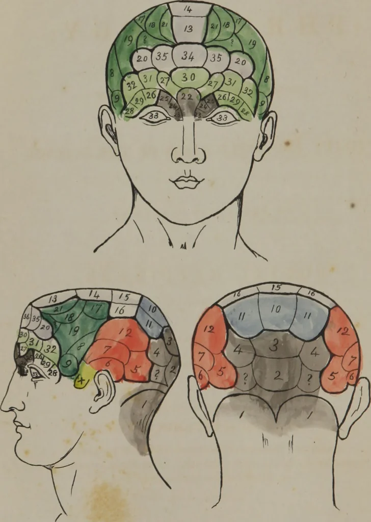 An illustration from Synopsis of phrenology : directed chiefly to the exhibition of the utility and application of the science to the advancement of social happiness / by Joshua Toulmin Smith., 1838, leaf 4