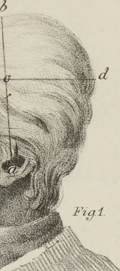 An illustration from Phrenology, in connexion with the study of physiognomy : illustration of characters / by J.G. Spurzheim., 1833, leaf 217