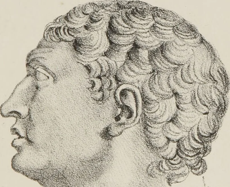 An illustration from Phrenology, in connexion with the study of physiognomy : illustration of characters / by J.G. Spurzheim., 1833, leaf 387