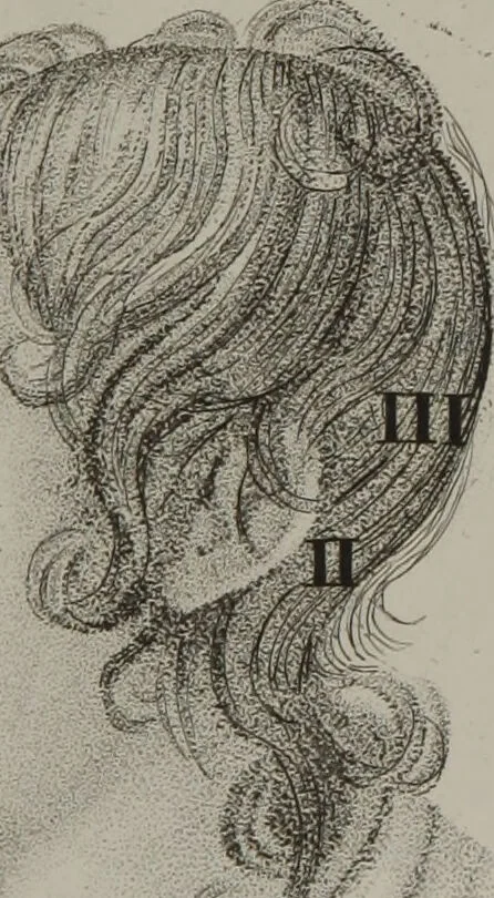 An illustration from Phrenology, or, The doctrine of the mental phenomena / by J.G. Spurzheim., 1846, leaf 571