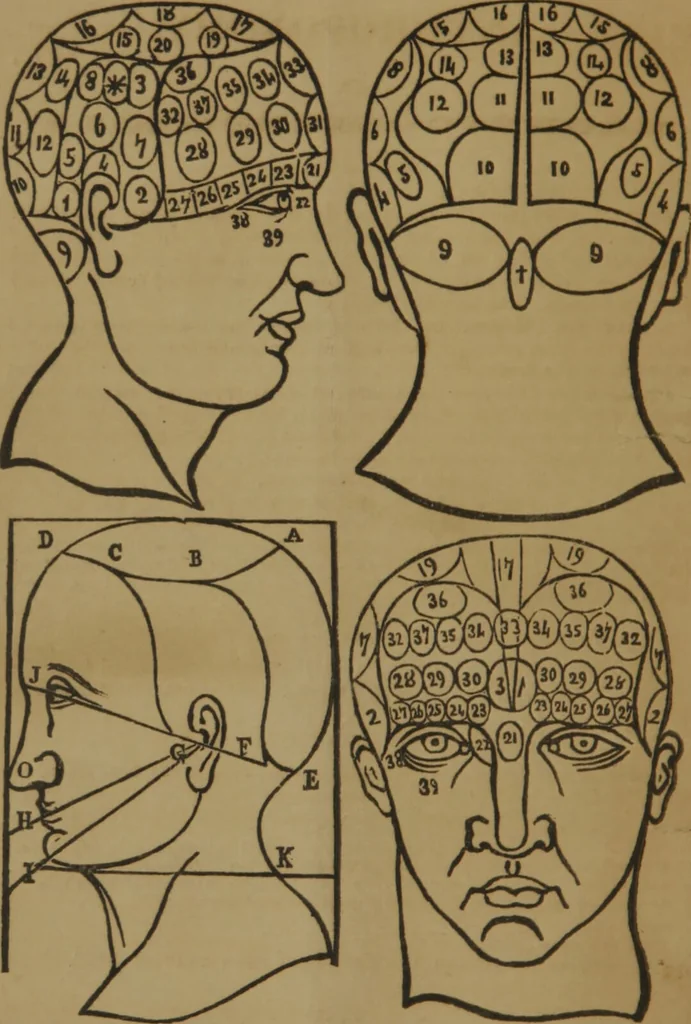 An illustration from Anthroponomy, or, Magneto-physiognomico-craniology : a new system on the magnetic constitution of man, as expressed by physiognomy blended with craniology and maintained by moral and physical hygiene, according to the rules of physiology, therapeutics, metaphysics, and present experience, improved from the systems of Messmer, Puységur, Gall, Lavater, Spurzheim, etc., and as established / by J.D.L. Zender., 1863, leaf 4